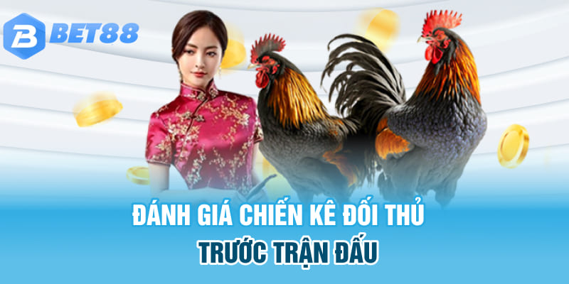 Đánh giá chiến kê đối thủ trước trận đấu